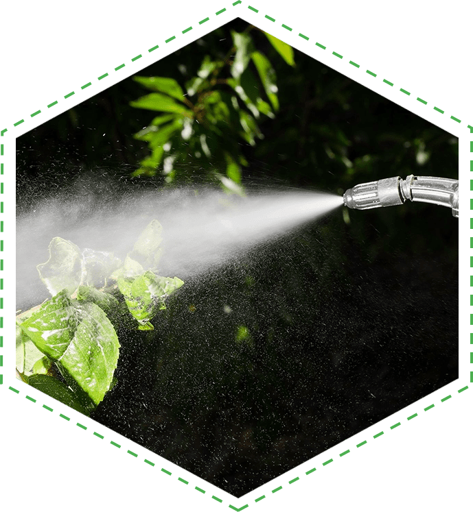 A spray gun spraying water on plants.