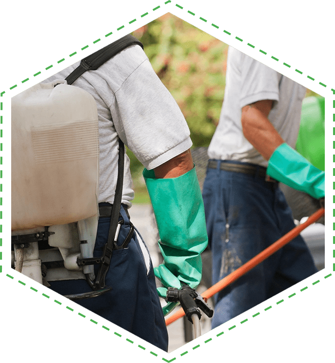 Two men wearing green gloves and holding a sprayer.